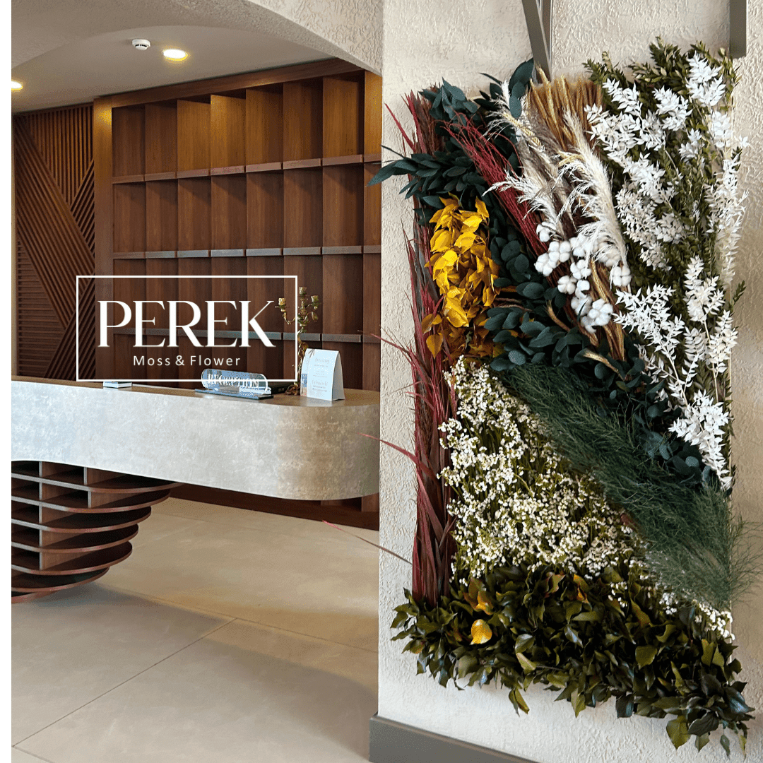 Dikey Bahçe Stabilize Bitkilerle